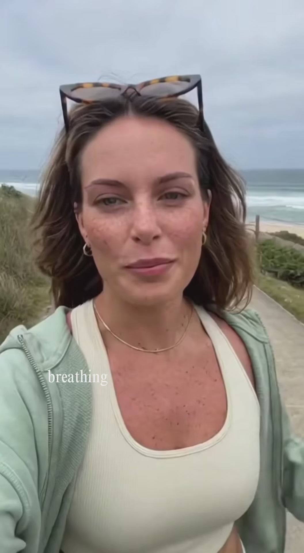 Organic Stem-Free Moringa Powder