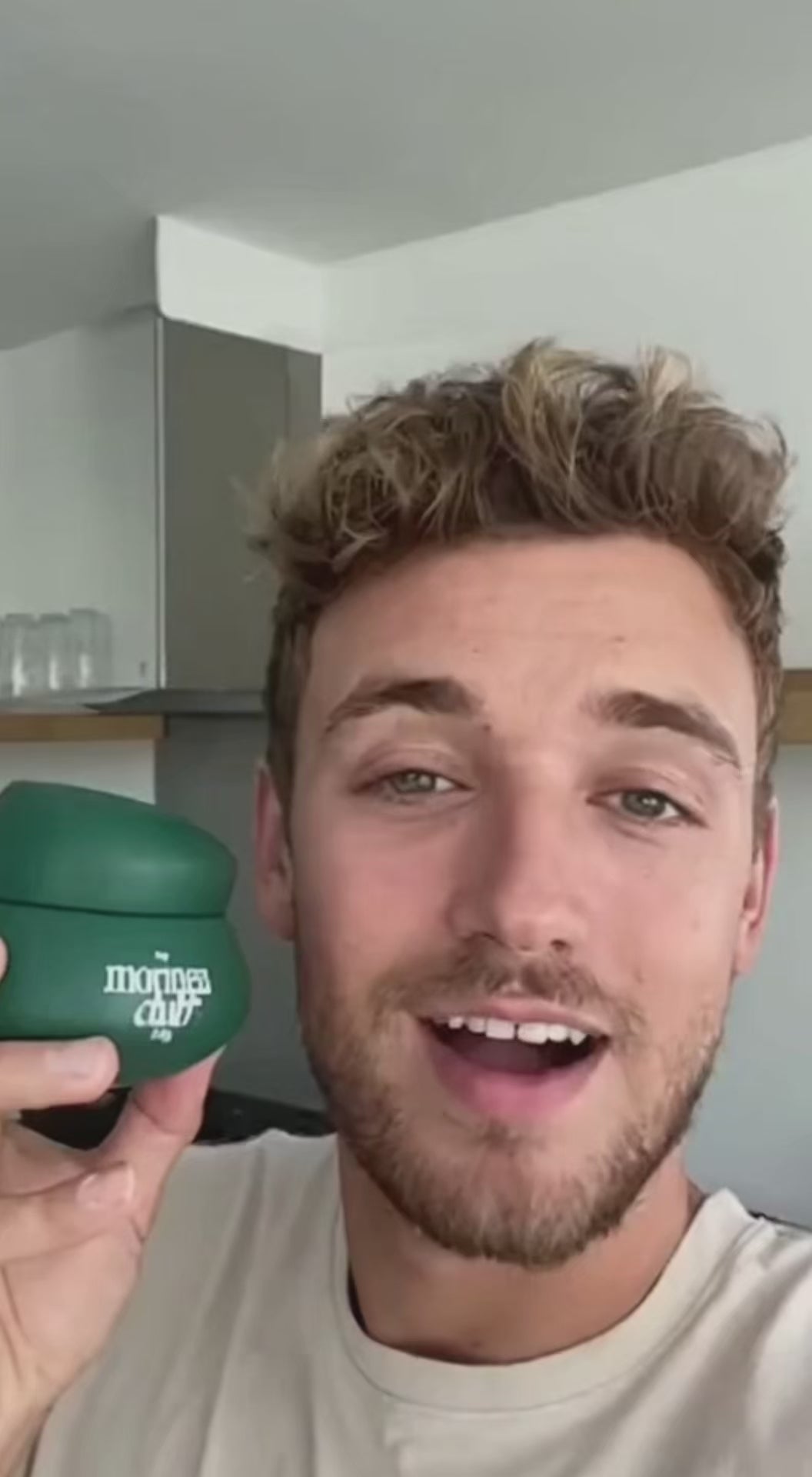 Organic Stem-Free Moringa Powder